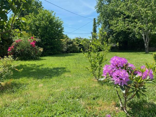 Terre D'Ajoncs Villa Saint-Philibert  Buitenkant foto